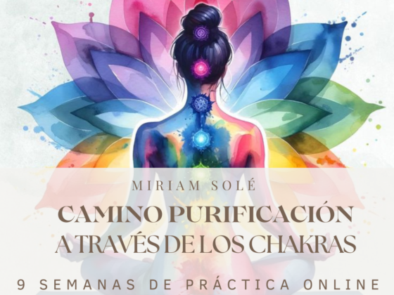 camino de purificación